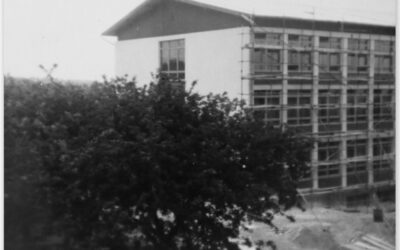 Šest desetljeća od otvorenja nove škole